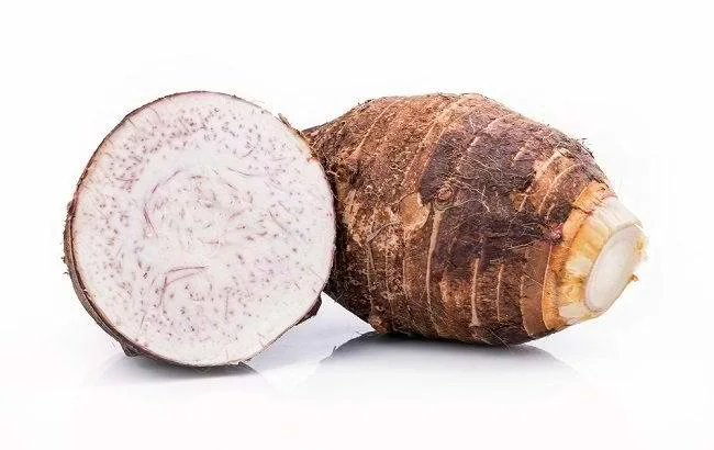 Manfaat Talas Bagi Kesehatan