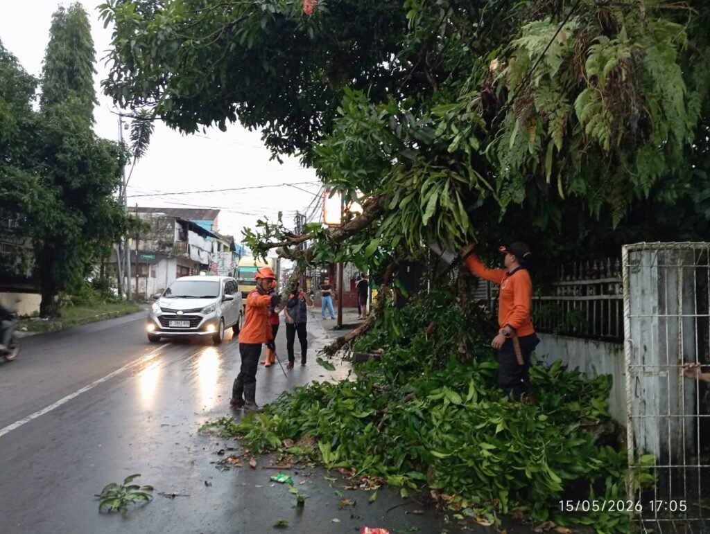 Hujan dan Angin Kencang Landa Kota Sukabumi, 15 Titik Dilanda Pohon Tumbang hingga Atap Rumah Ambruk