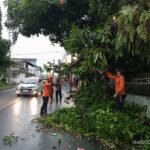 Hujan dan Angin Kencang Landa Kota Sukabumi, 15 Titik Dilanda Pohon Tumbang hingga Atap Rumah Ambruk
