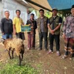 Momentum Idul Adha 1447 H, PT Daya Mas Cisolok Geothermal Salurkan Bantuan Hewan Kurban 1 Ekor Sapi dan 29 Domba  