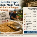 Awal Juni 2026, Kenaikan Kedelai dan Bawang Putih Warnai Pergerakan Harga Pangan di Sukabumi