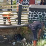 Cegah Banjir Limpasan, BPBD Kota Sukabumi Bersihkan Saluran Air yang Tersumbat Sampah