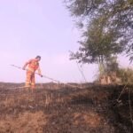 Kebakaran Lahan Terjang Cikundul Sukabumi, BPBD dan Damkar Bergerak Padamkan Api