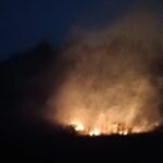 Kebakaran Lahan di Simpenan Sukabumi, 5.000 Meter Persegi Terbakar dan 30 Rumah Terancam