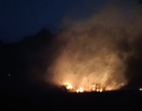 Kebakaran Lahan di Simpenan Sukabumi, 5.000 Meter Persegi Terbakar dan 30 Rumah Terancam
