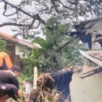 Pohon Tumbang Rusak Atap Rumah di Sukabumi, BPBD Ingatkan Ancaman Cuaca Ekstrem