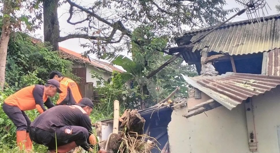 Pohon Tumbang Rusak Atap Rumah di Sukabumi, BPBD Ingatkan Ancaman Cuaca Ekstrem